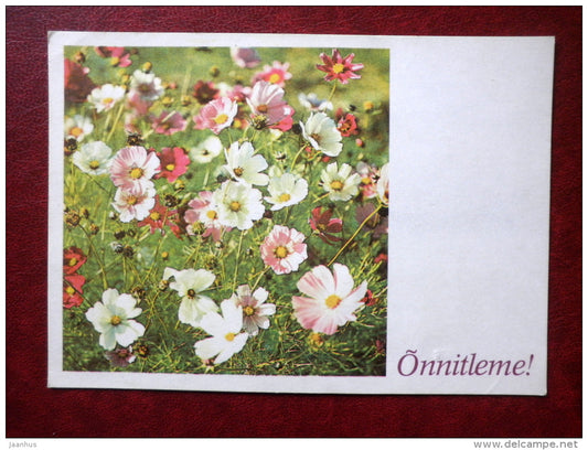 Greeting card - summer flowers - flowers - 1981 - Estonia USSR - used - JH Postcards