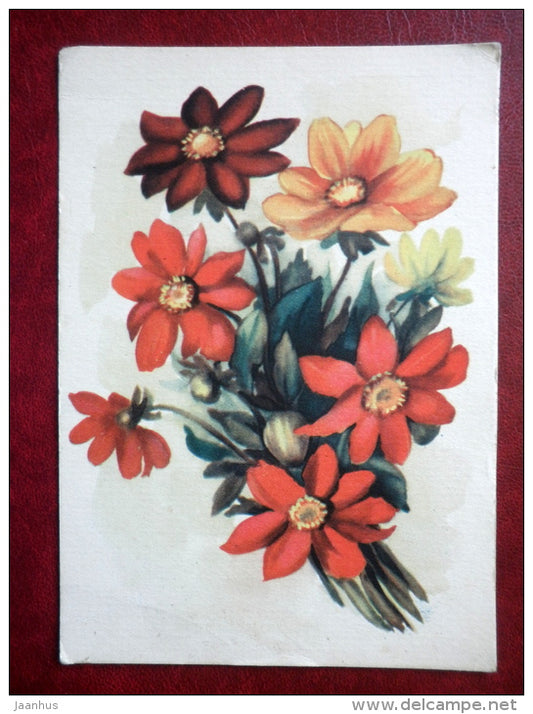 illustration by Starkopf-Mei -  dahlias - flowers - 1959 - Estonia USSR - used - JH Postcards