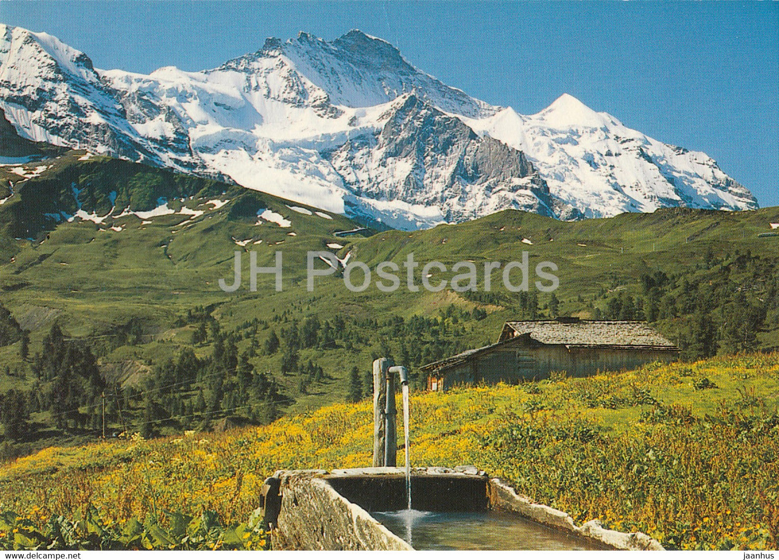 Kleine Scheidegg - Jungfrau - 929 - Switzerland - unused - JH Postcards