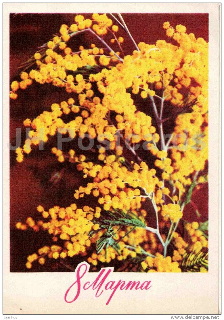 8 March International Women's Day greeting card - yellow flowers - postal stationery - 1976 - Russia USSR - used - JH Postcards