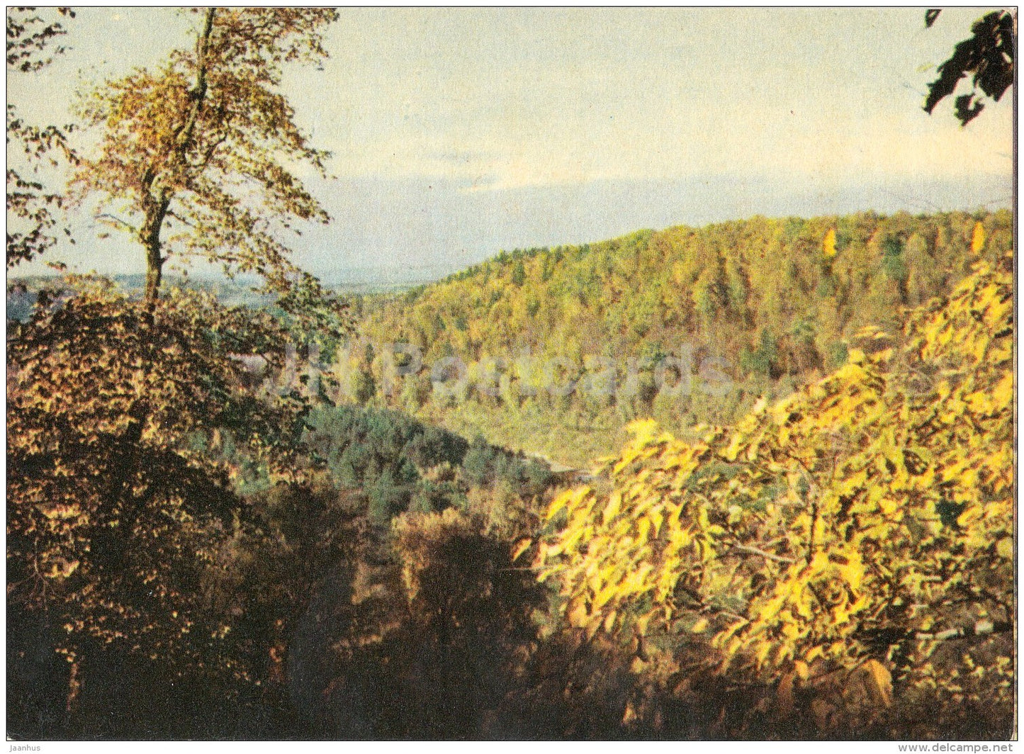 The Gauja Valley - Sigulda - Latvia USSR - unused - JH Postcards