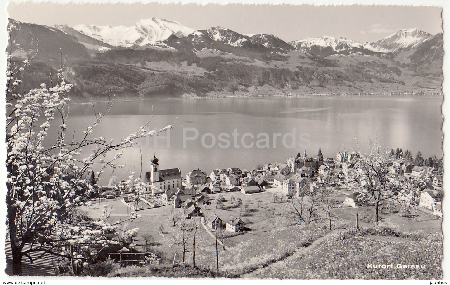 Kurort Gersau - Gersau am Vierwaldstattersee mit Schwalmis und Buochsernhorn - 684 - Switzerland - 1965 - used - JH Postcards