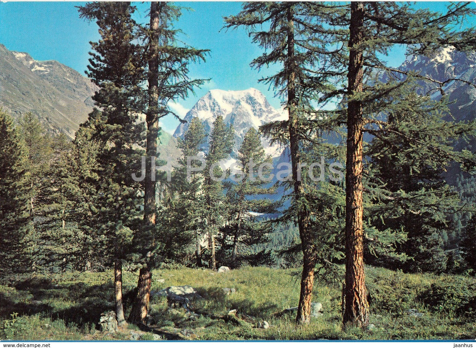 Arolla et Mont Collon - 2750 - 1974 - Switzerland - used - JH Postcards