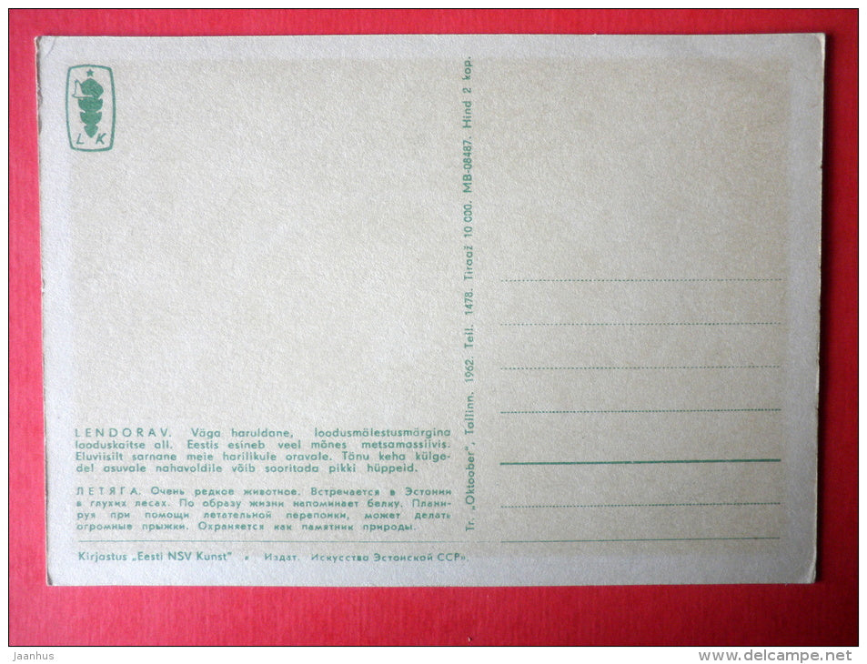 illustration by V. Pirk - Flying Squirrel - Pteromyini - 1962 - Estonia USSR - unused - JH Postcards