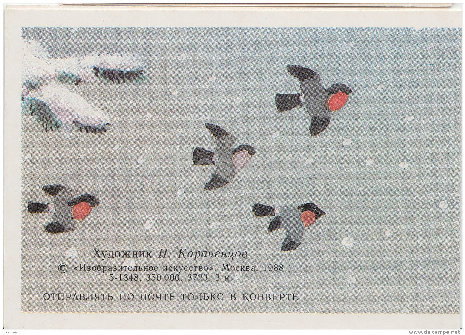 mini New Year greeting card by P. Karachentsov - bullfinch - birds - 1988 - Russia USSR - unused - JH Postcards