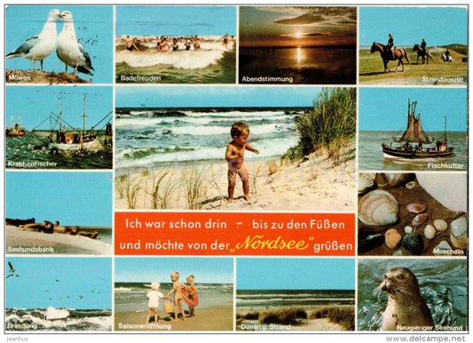 Nordsee - Möwen - Strand - Seehundsbank - Fishkutter - Muscheln - Seehund - Germany - 1977 gelaufen - JH Postcards