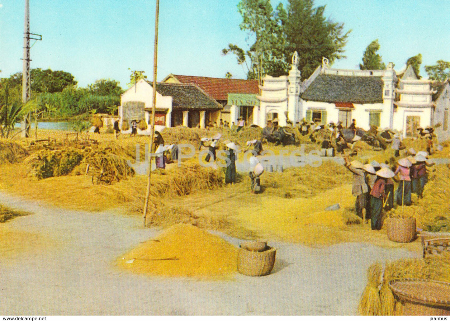 Some Aspects of Vietnam - The Bumb Harvest - Vietnam - unused - JH Postcards