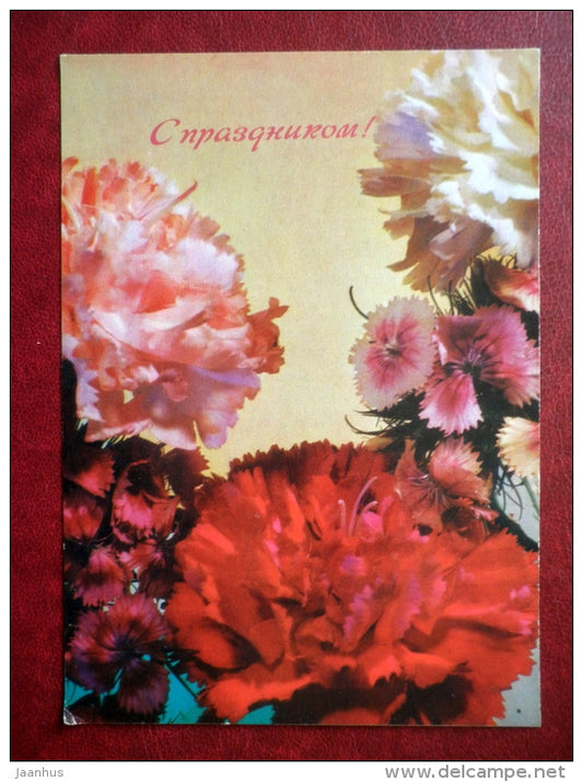 Greeting Card - carnation - flowers - 1977 - Russia USSR - used - JH Postcards