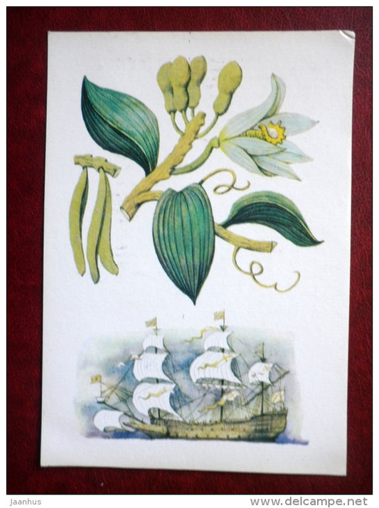 Vanilla - by. N. Barbotchenko - plants - sailing ship - 1986 - Russia USSR - unused - JH Postcards