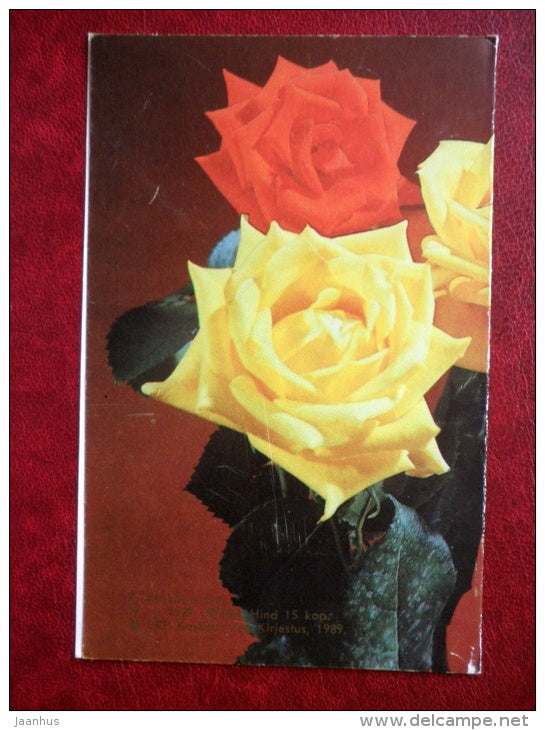 Greeting  Card - red and yellow roses - flowers - 1989 - Estonia USSR - used - JH Postcards