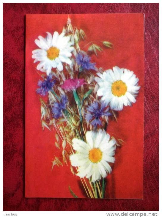 greeting card - cornflower - daisy - flowers - 1972 - Russia - USSR - unused - JH Postcards