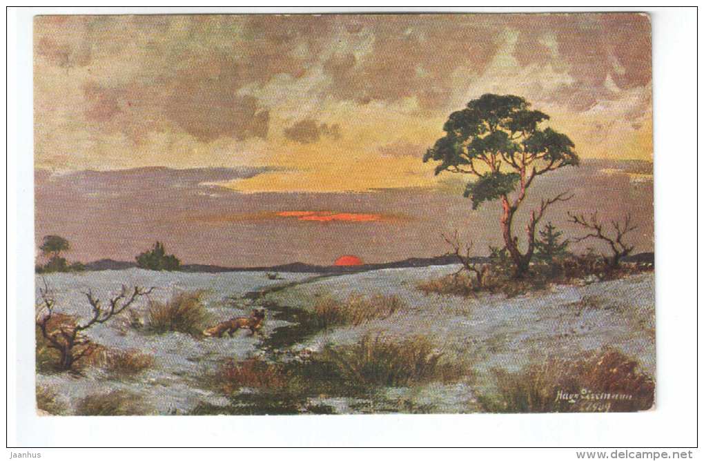 illustration by Hugo Lissmann 1909 - sunset - fox - Peluba 271 - old postcard - circulated in Estonia - used - JH Postcards