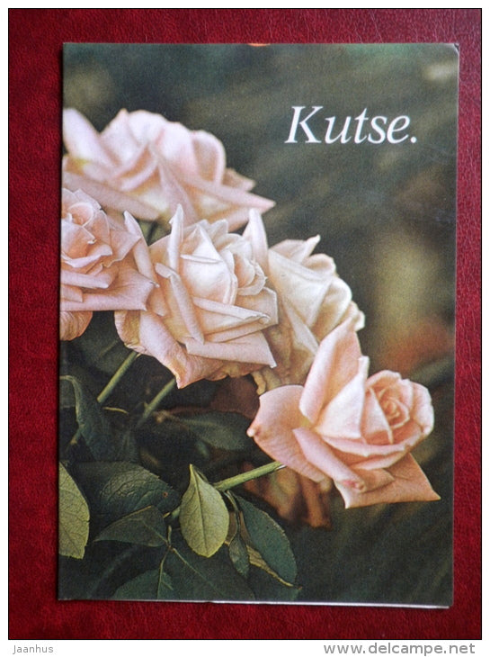 Invitation card - pink roses - flowers - 1981 - Estonia USSR - used - JH Postcards