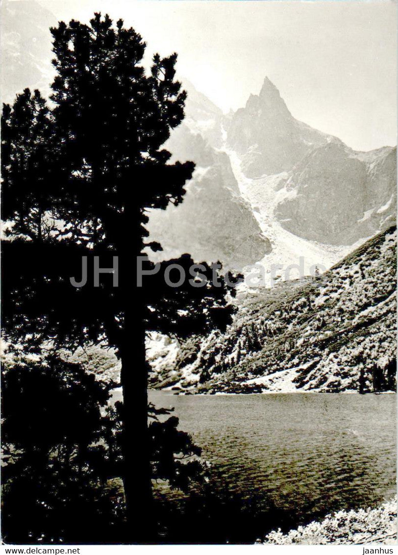 Tatry - Tatras - Mnich nad Morskim Okiem - Poland - unused - JH Postcards