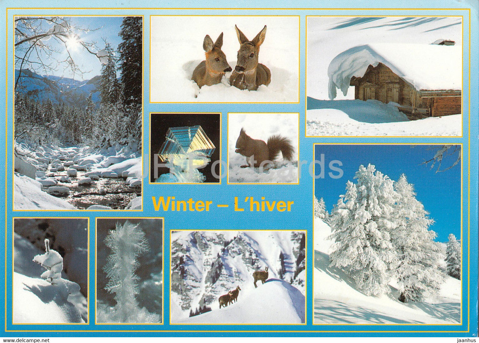 Winter - L'Hiver - winter views - deer - squirrel - animal - 89988 - 2003 - Switzerland - used - JH Postcards