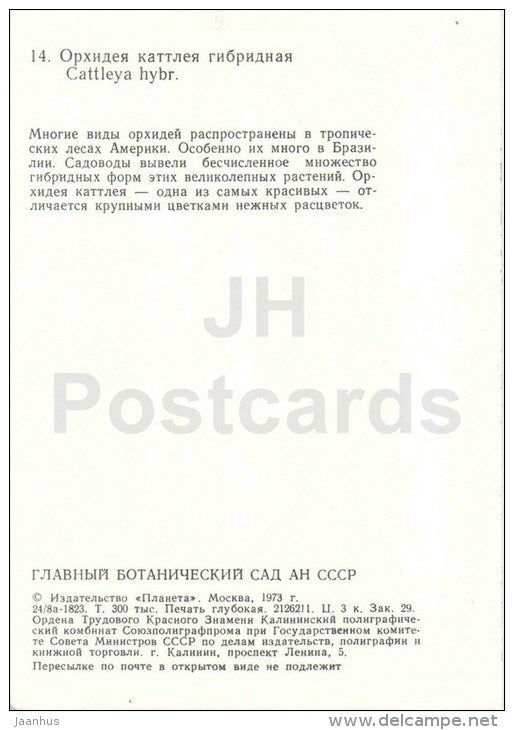 Cattleya - flowers - orchid - Botanical Garden of the USSR - Moscow - 1973 - Russia USSR - unused - JH Postcards