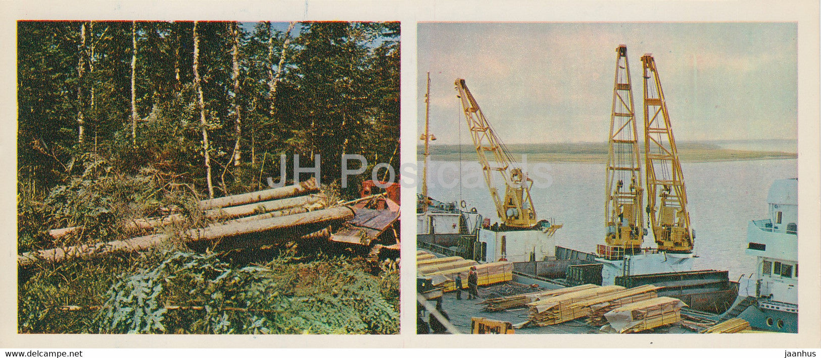 forestry - ship - crane - Forest Wealth - 1981 - Russia USSR - unused - JH Postcards