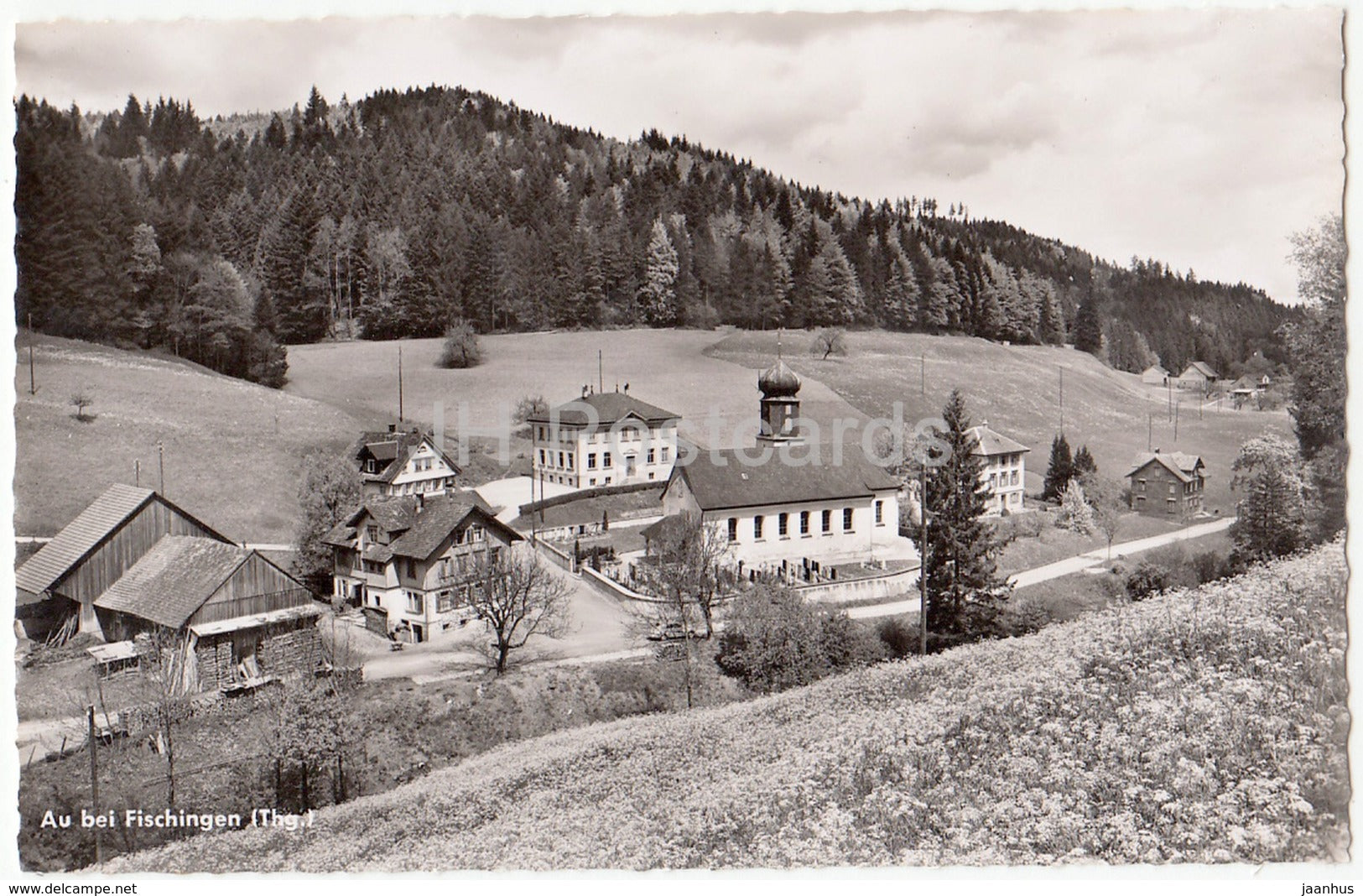 Au bei Fischingen - 1208 - Switzerland - unused - JH Postcards