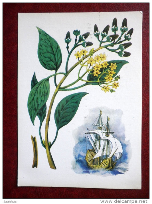 cinnamon - by. N. Barbotchenko - plants - sailing ship - 1986 - Russia USSR - unused - JH Postcards