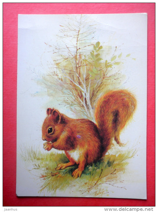 illustration by Finlay - squirrel - 49-Z3305 - Germany - circulated in Finland - JH Postcards