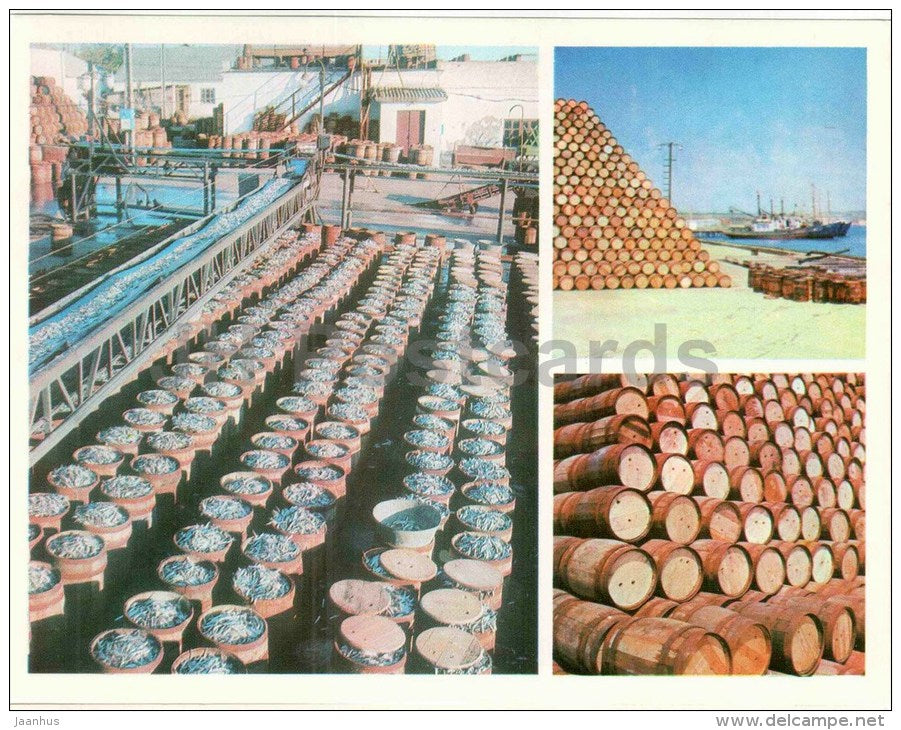 khamsa fish production - Kerch - large format card - 1976 - Ukraine USSR - unused - JH Postcards