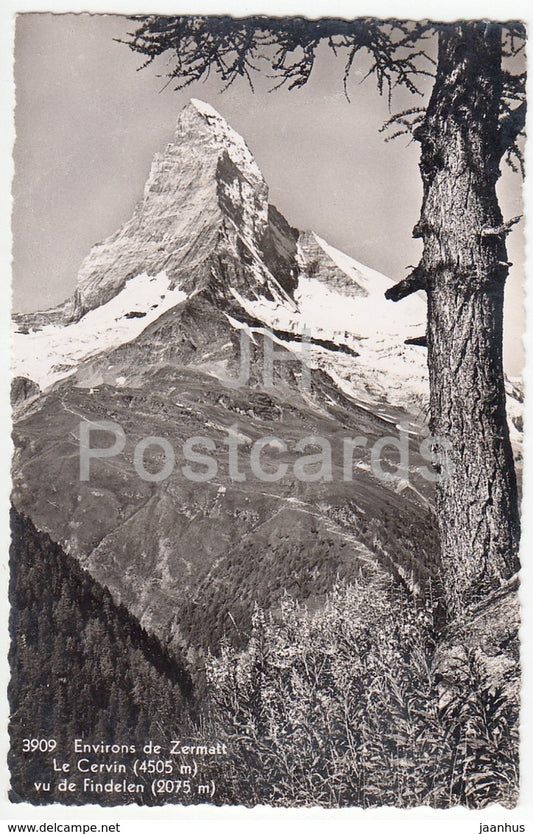 Environs de Zermatt - Le Cervin 4505 m vu de Findelen 2075 m - 3909 - Switzerland - old postcard - unused - JH Postcards