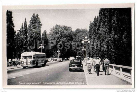 Resort prospekt - bus - Sochi - photo card - 1960 - Russia USSR - unused - JH Postcards