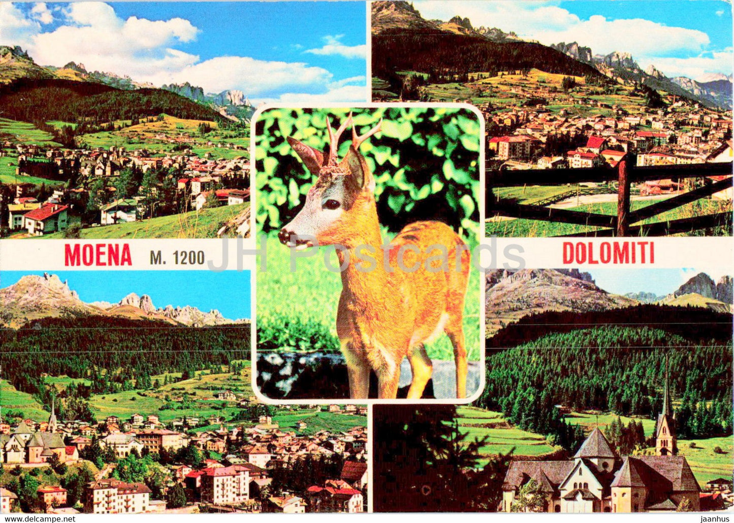 Moena - Dolomiti - animals - deer - 1982 - Italy - used - JH Postcards