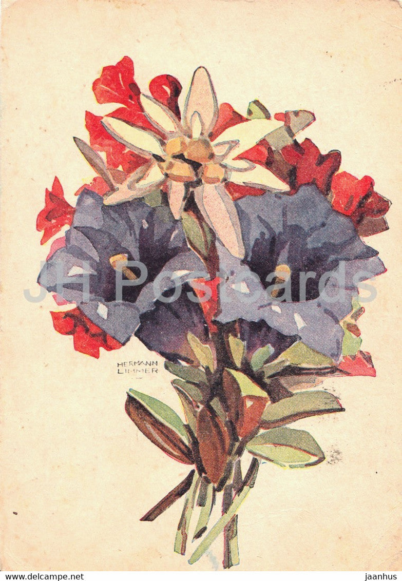 illustration by Hermann Limmer - Alpenblumen - flowers - old postcard - 1948 - Germany - used - JH Postcards