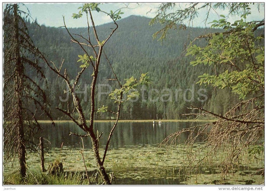 Arbersee mit Blick gegen Gr. Arber - Germany - gelaufen - JH Postcards