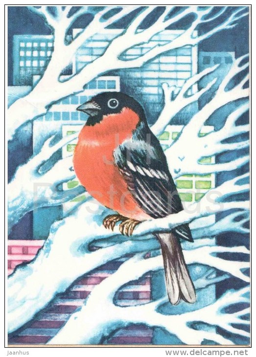 New Year Greeting card by S. Väljal - bullfinch - birds - 1977 - Estonia USSR - used - JH Postcards