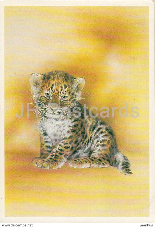 Little Leopard - animals - illustration by A. Isakov - 1989 - Russia USSR - unused - JH Postcards