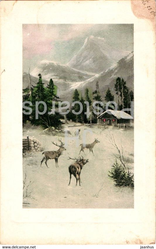 deer - illustration - old postcard - used - JH Postcards