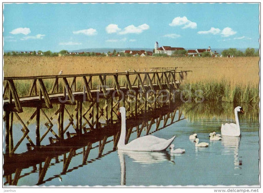 Buchau am Federsee - Schwan - swan - Bu 504 - Germany - ungelaufen - JH Postcards