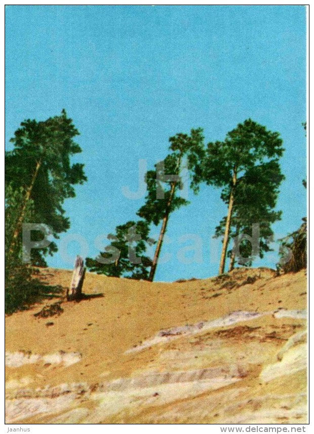 Dunes near Pabazhi - Vidzeme seaside views - Latvia USSR - unused - JH Postcards