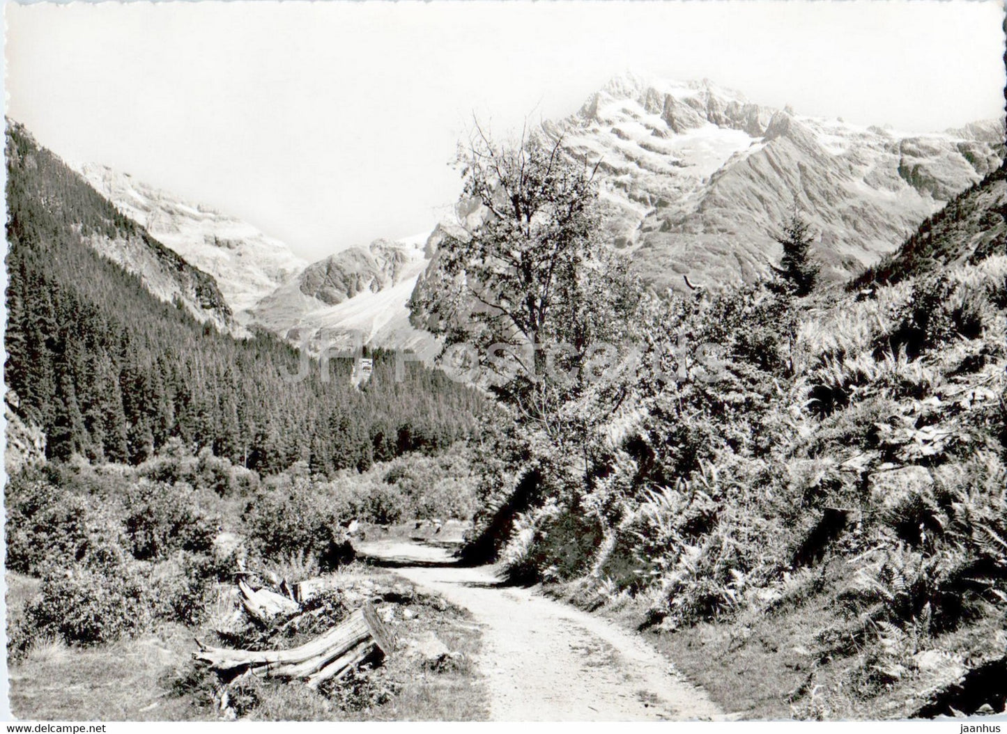 Maderanertal - Kurhaus - Dussistock - 07310 - old postcard - Switzerland - unused - JH Postcards