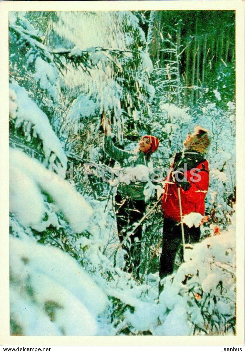 Carpathian Mountains - Karpaty - Region - Winter Tale - 1962 - Ukraine USSR – unused – JH Postcards