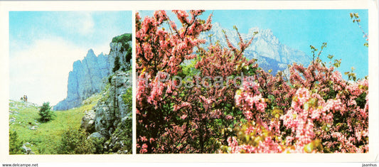 View of the Ai-Petri Mountain - Crimea - 1985 - Ukraine USSR - unused - JH Postcards