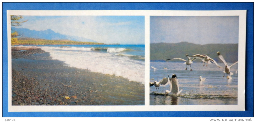 Baikal surf - gulls - Lake Baikal - 1978 - Russia USSR - unused - JH Postcards