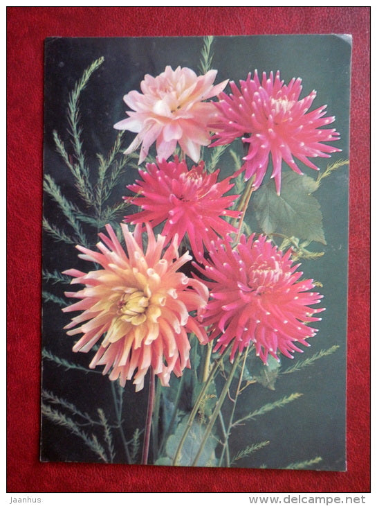 Greeting Card - dahlias - flowers - 1988 - Russia USSR - used - JH Postcards