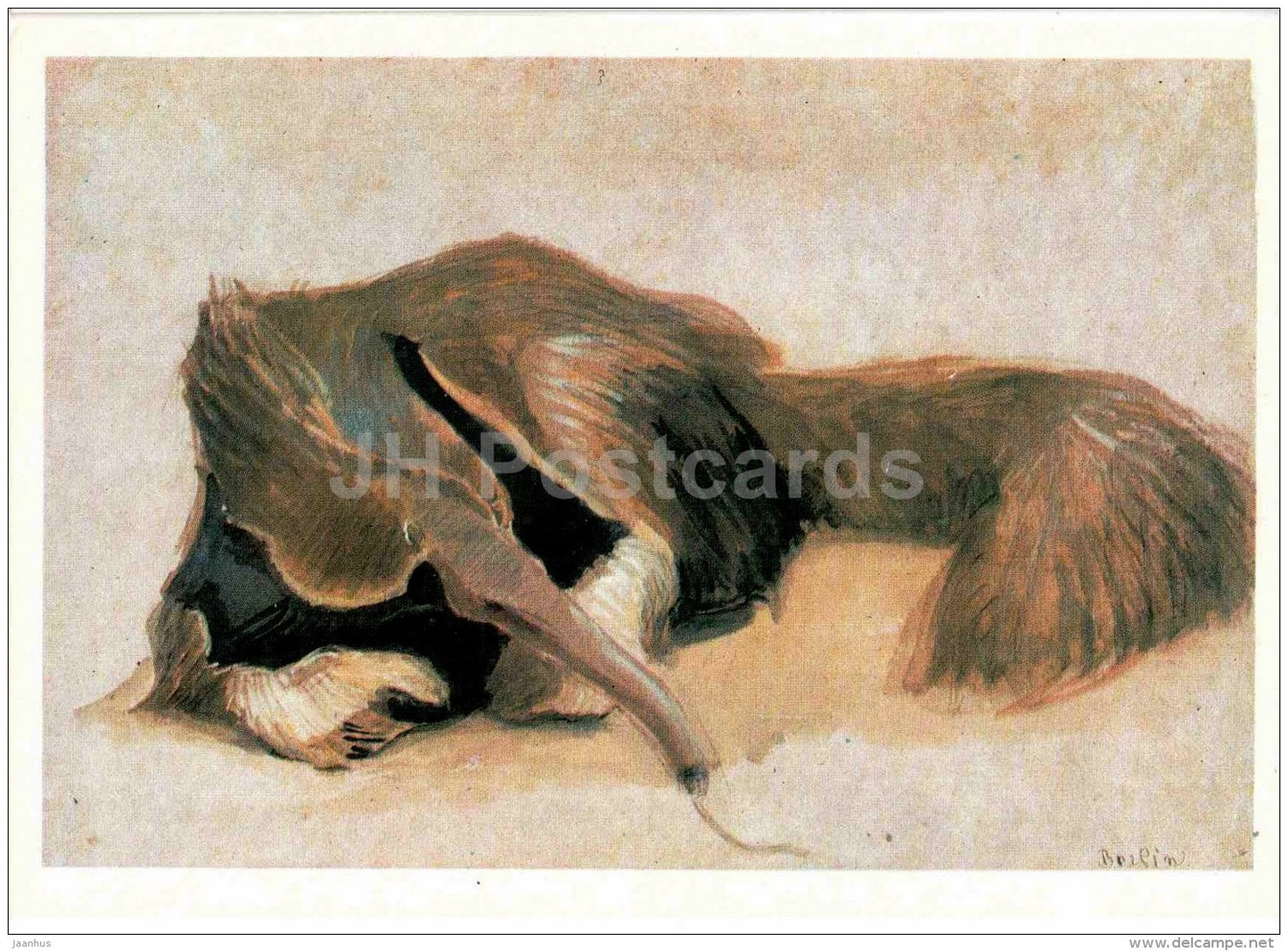 painting by Vasily Vatagin - Anteater - Vermilingua - Russian art - 1978 - Russia USSR - unused - JH Postcards