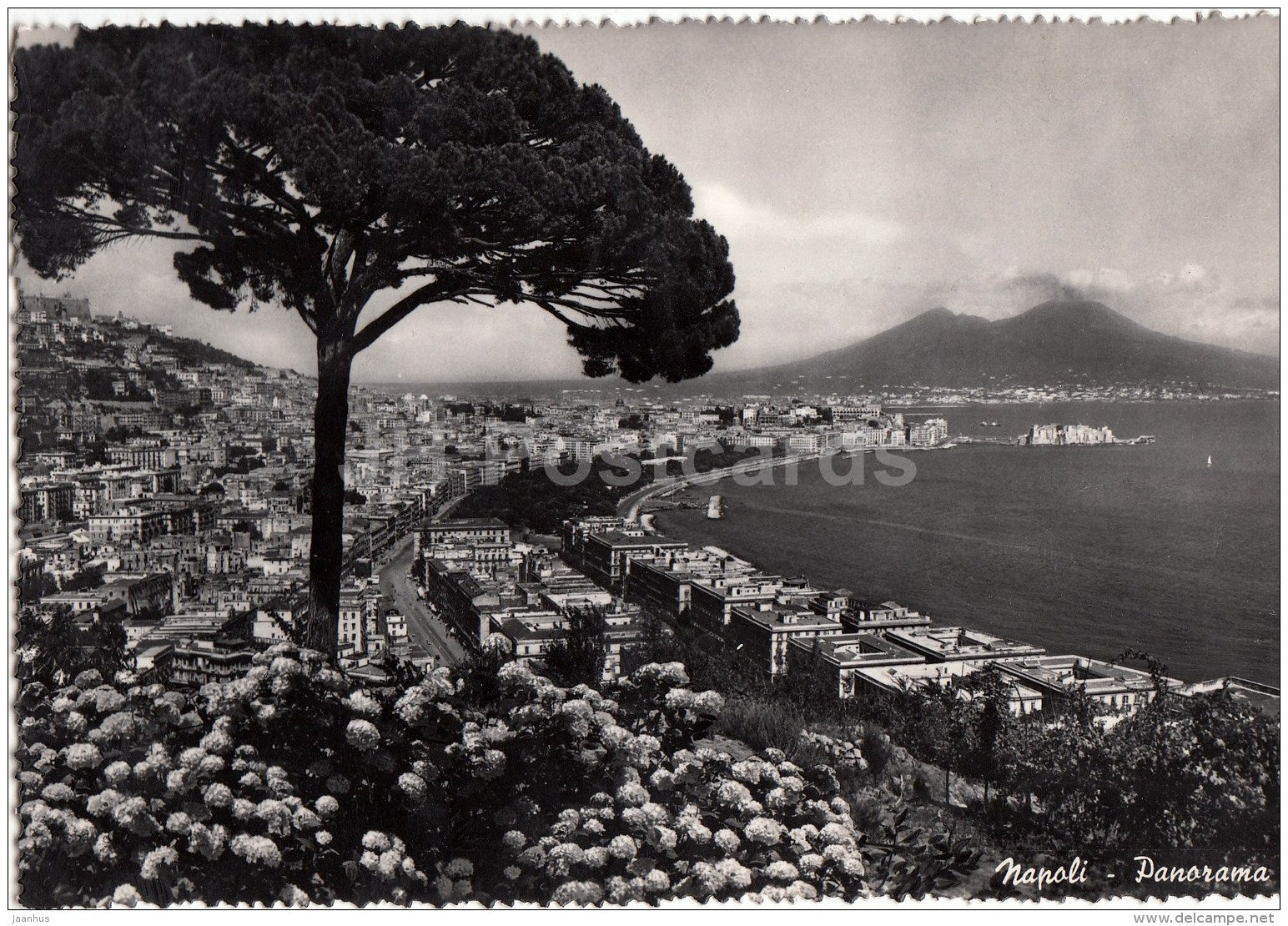 panorama - Napoli - Naples - Italy - Italia - unused - JH Postcards