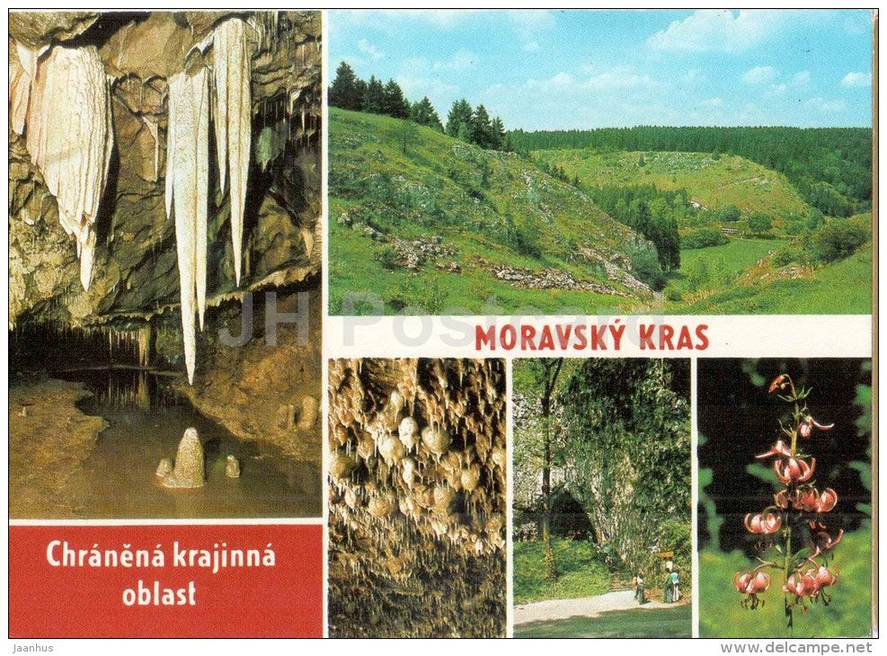 Moravsky Kras - protected region - stalactite - flowers - Czechoslovakia - Czech - unused - JH Postcards