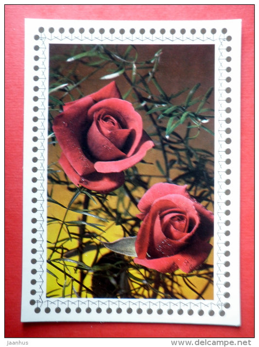 red roses 3 - flowers - Czechoslovakia - unused - JH Postcards