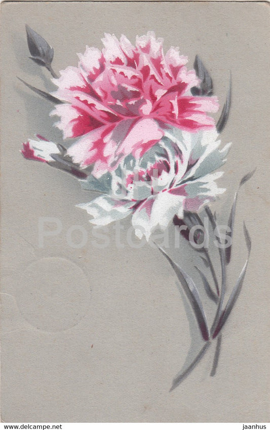 carnation - flowers - illustration - old postcard - 1917 - used - JH Postcards