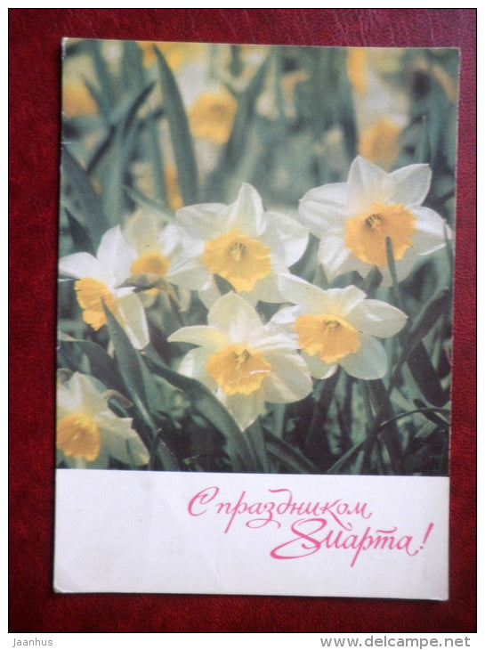 8 March Greeting Card - narcissus - flowers - 1971 - Russia USSR - used - JH Postcards