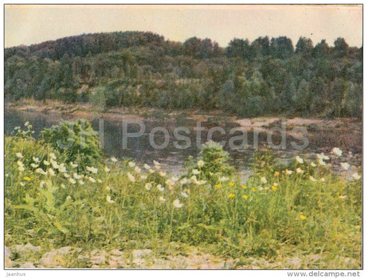 The Daugava river - old postcard - Latvia USSR - unused - JH Postcards