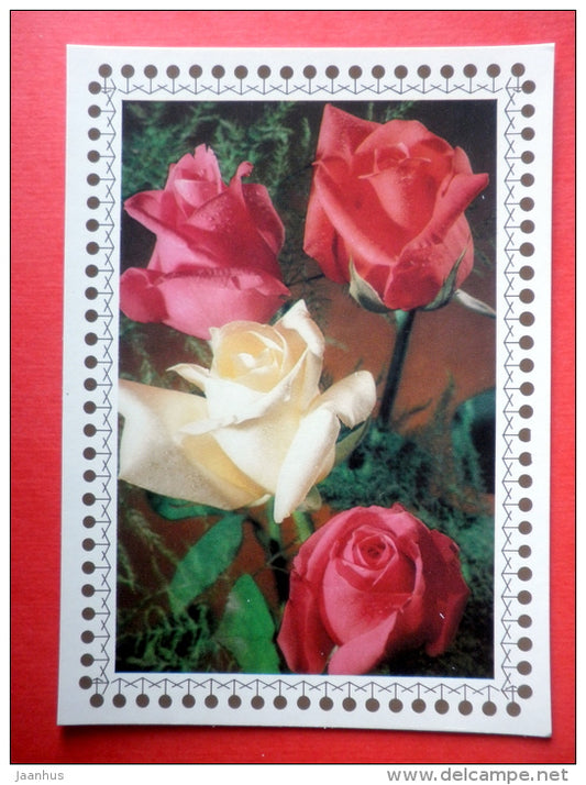 red and white roses - flowers - Czechoslovakia - unused - JH Postcards