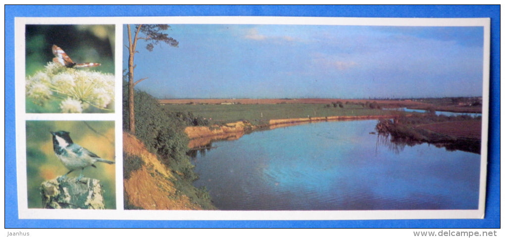 butterflu - tit - river - Moscow Oblast - Podmoskovye - 1977 - Russia USSR - unused - JH Postcards