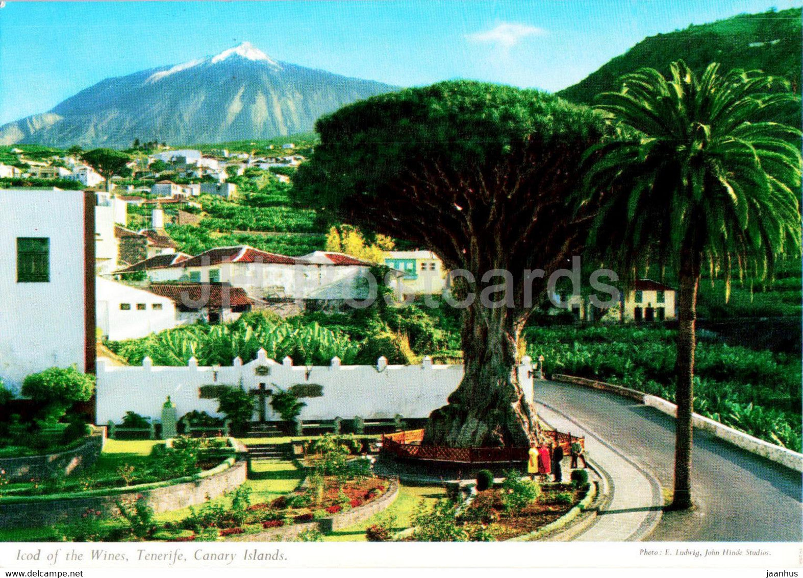 Los Cristianos - La Playa - Islas Canarias - beach - Tenerife - 2219 - Spain - unused - JH Postcards